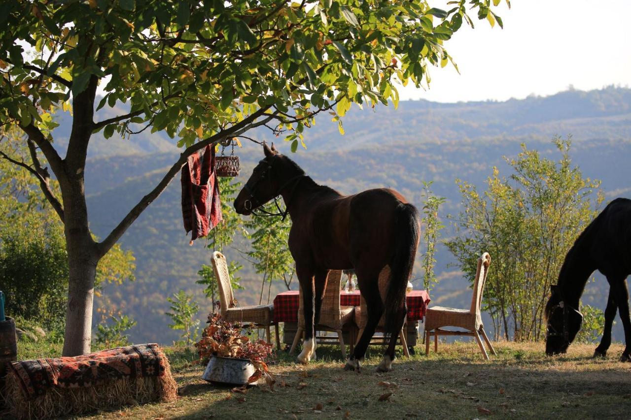 Lost Ridge Inn, Brewery & Ranch シグナギ エクステリア 写真